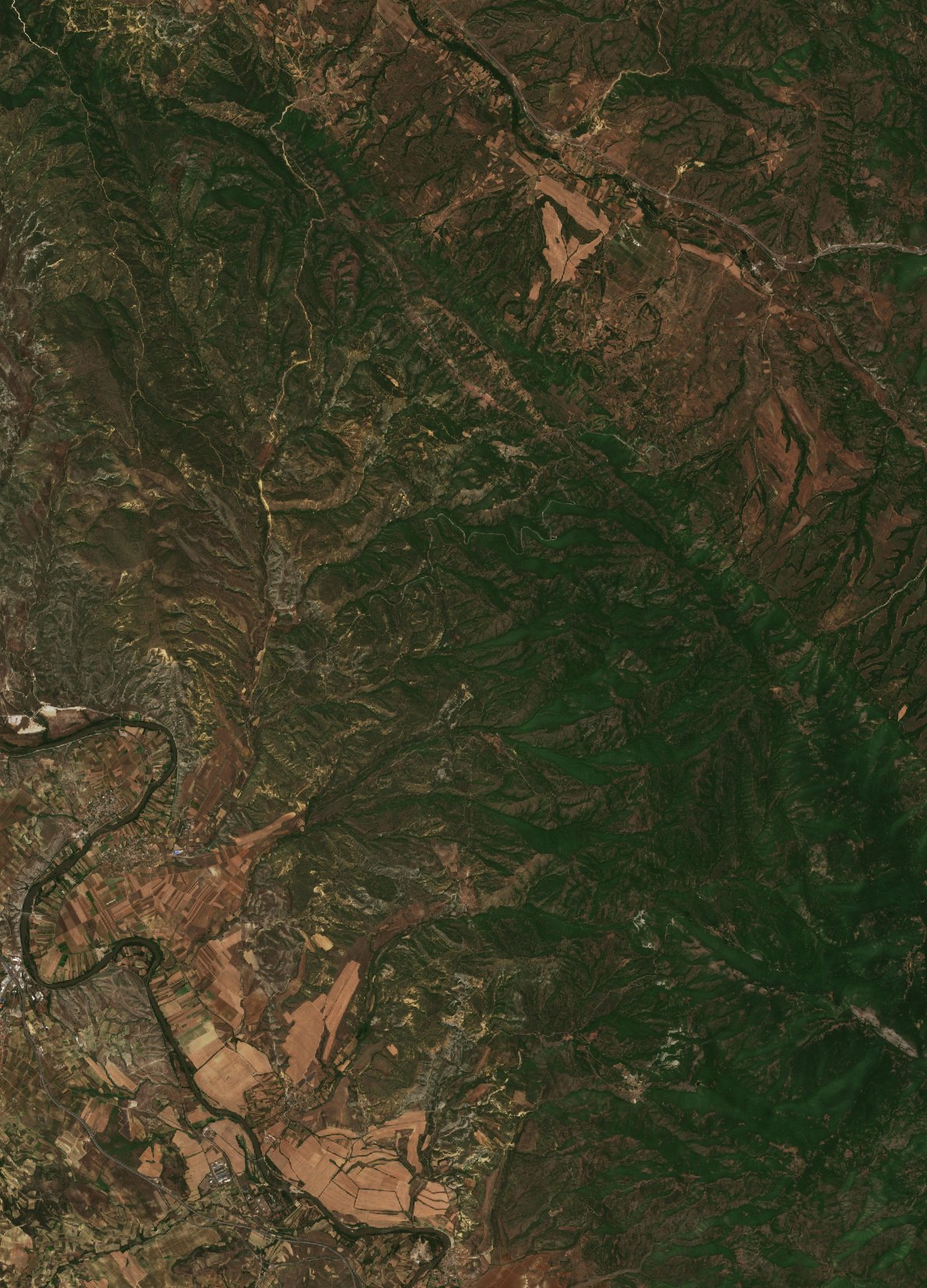 The area before the fire, July 1, 2024