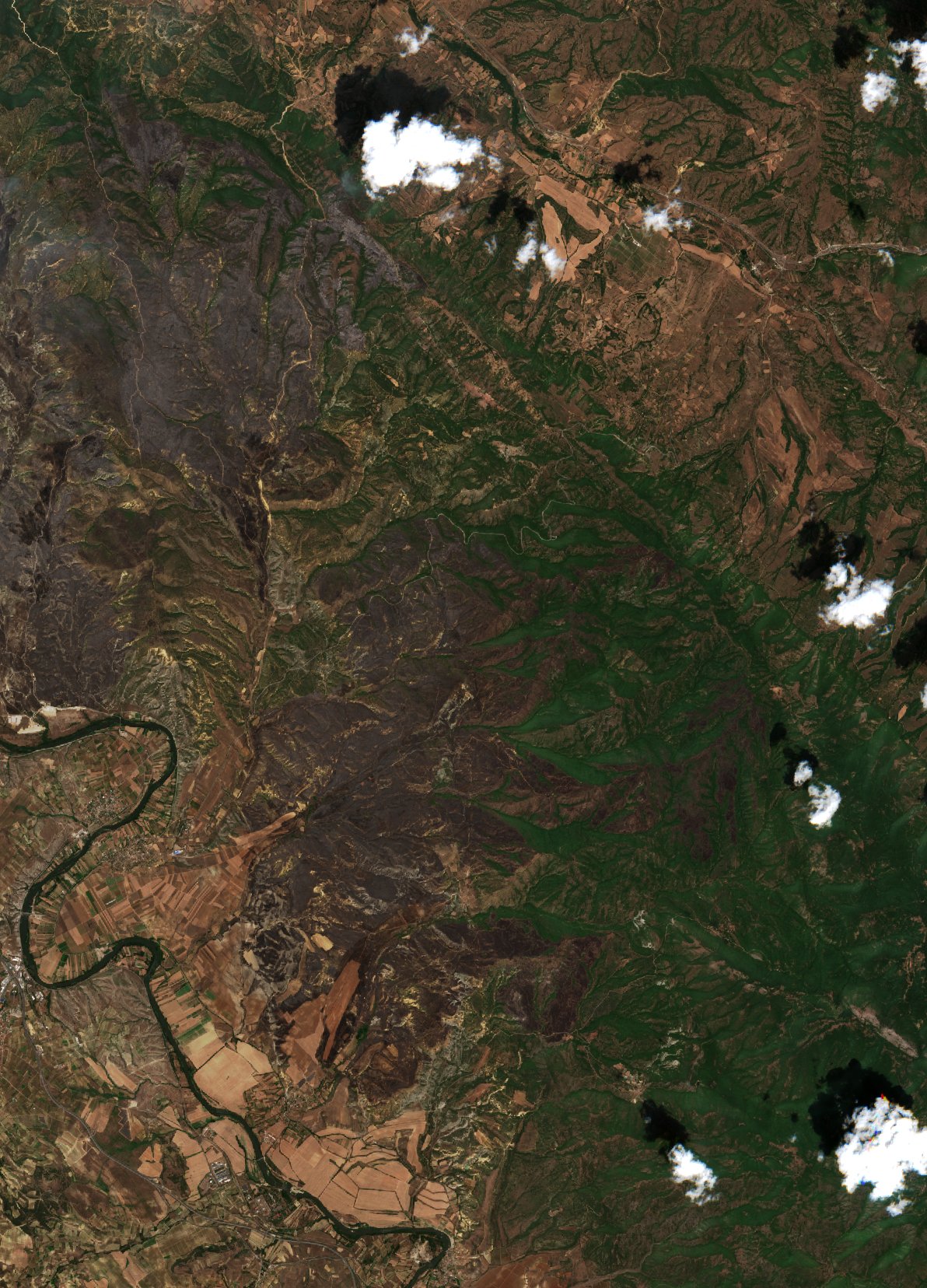 The area after the fire, July 21, 2024
