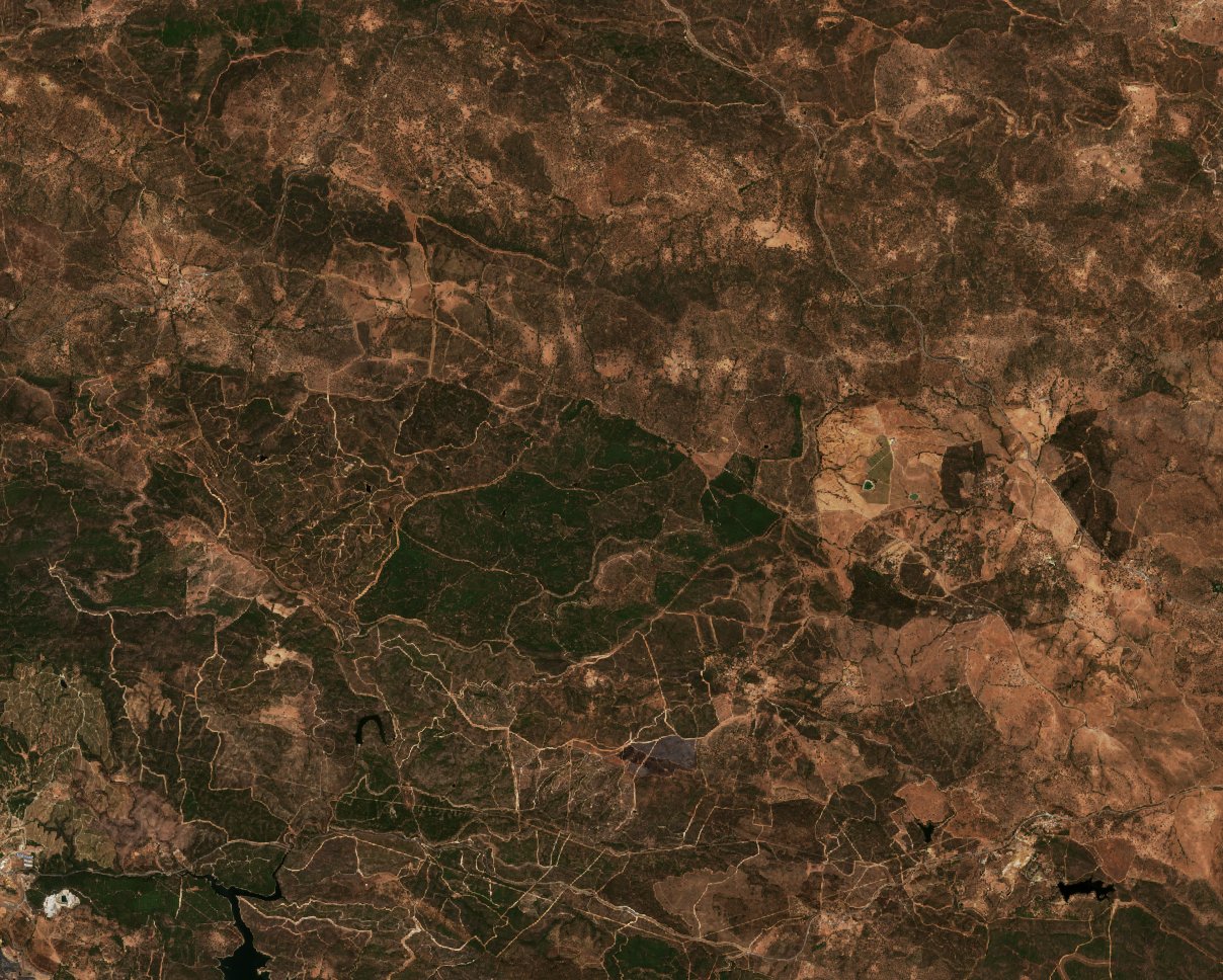 Sentinel-2 images