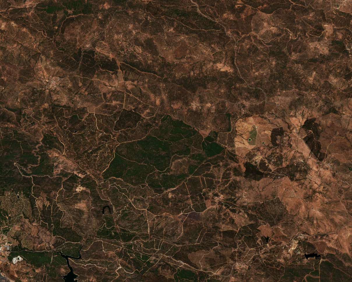 The area before the fire, September 4, 2017