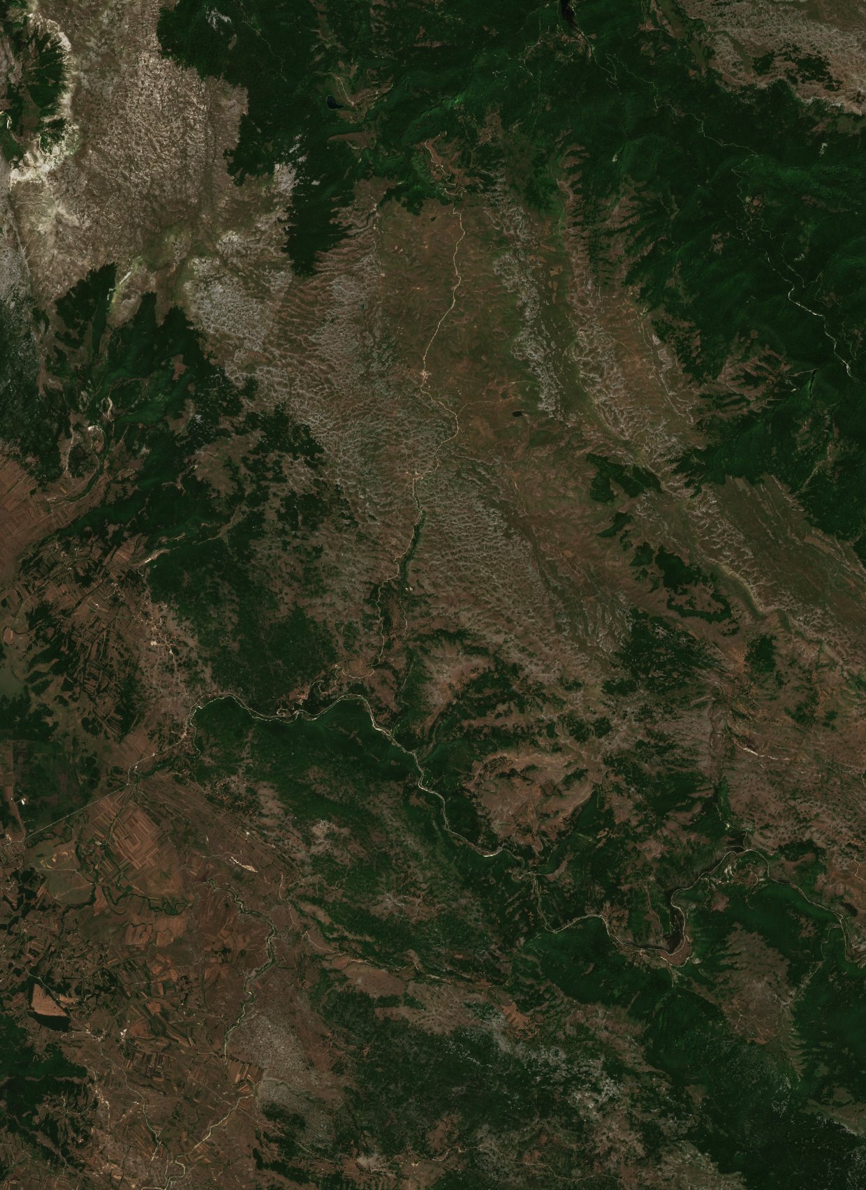 Sentinel-2 images