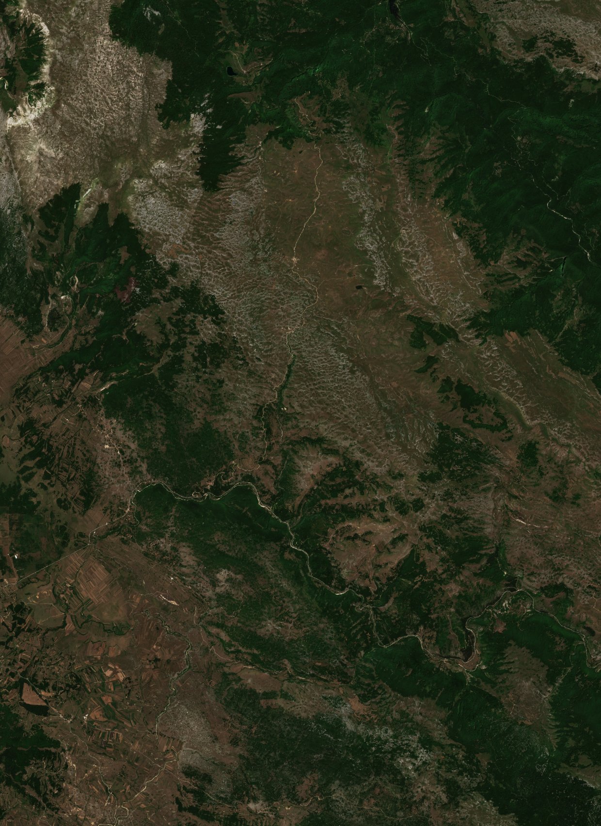 The area before the fire, July 29, 2026