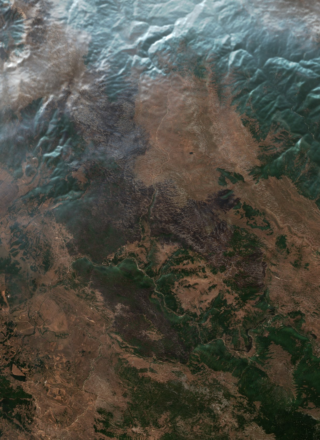 The area after the fire, September 5, 2026