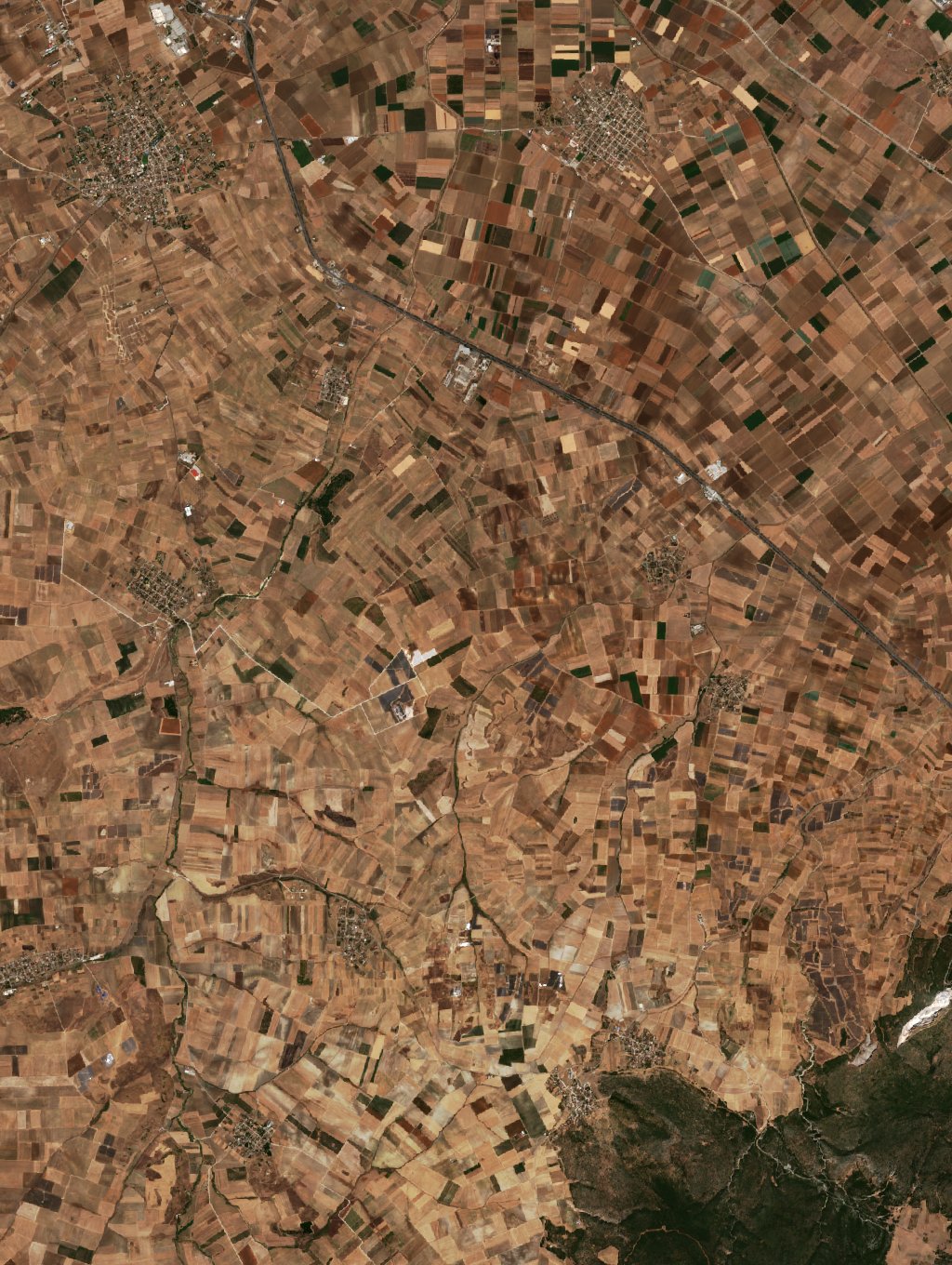 Sentinel-2 images