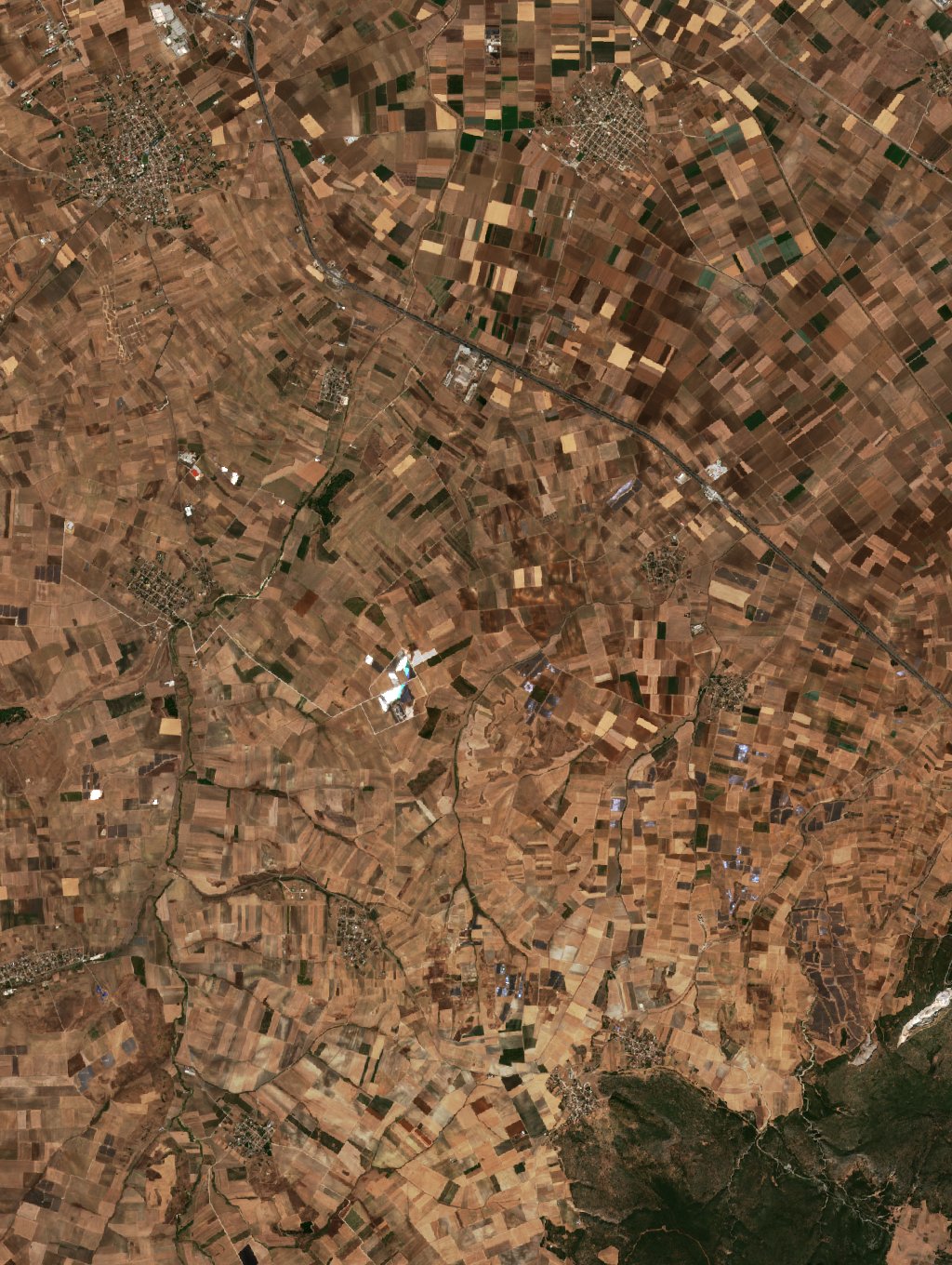 The area before the fire, September 21, 2026