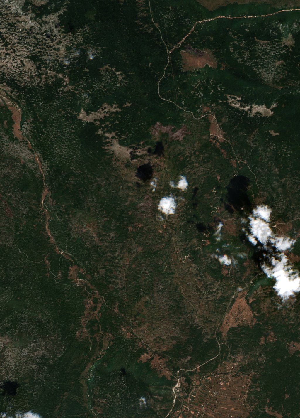The area before the fire, August 8, 2017