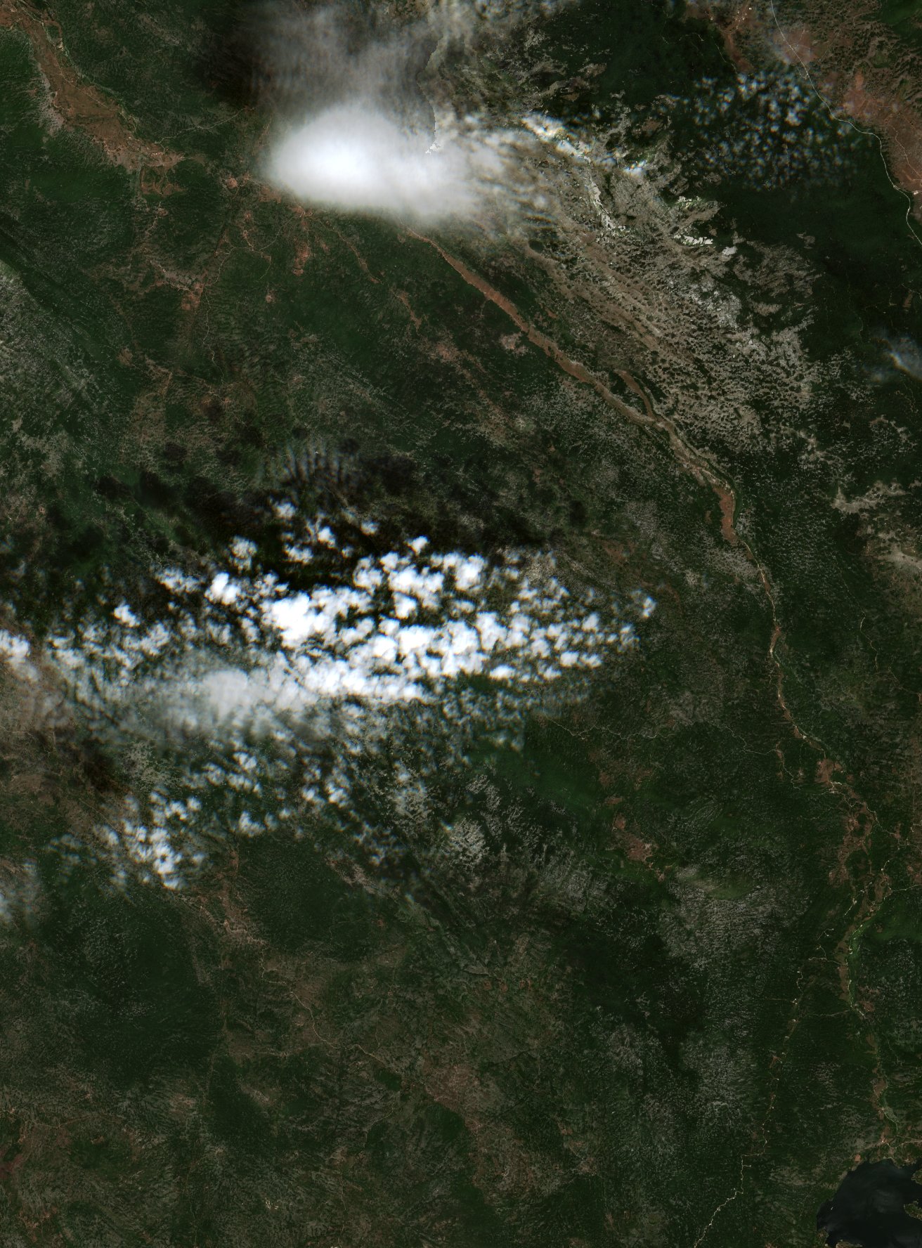 Sentinel-2 images
