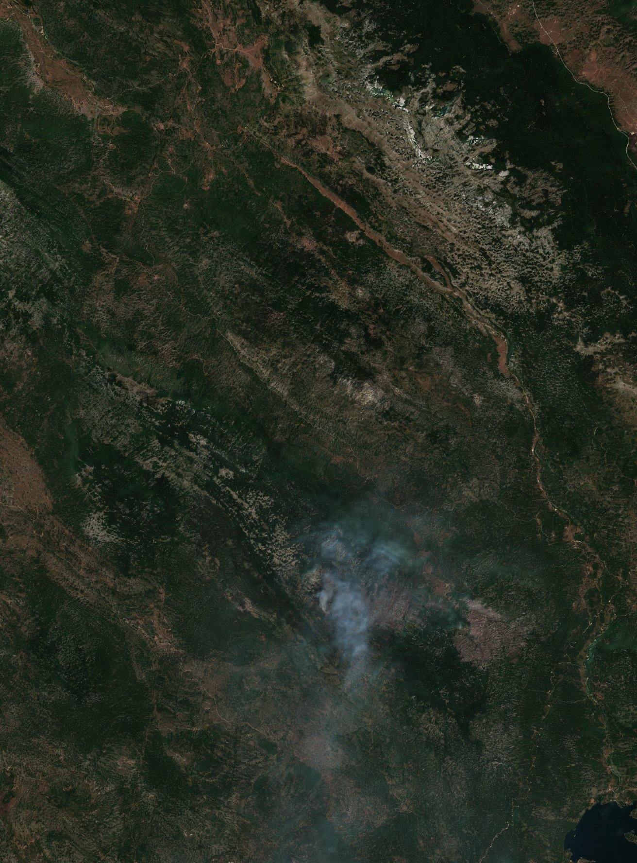 The area before the fire, August 7, 2021