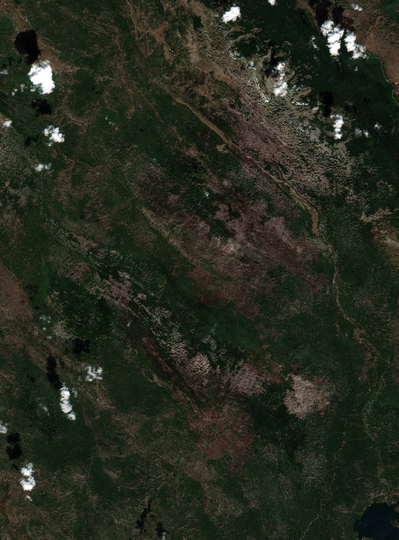The area after the fire, September 6, 2021