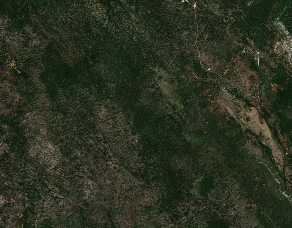 The area before the fire, July 18, 2022