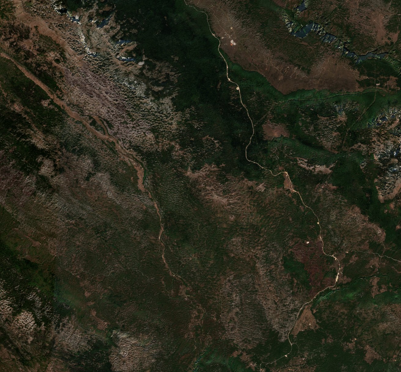 The area after the fire, September 30, 2026