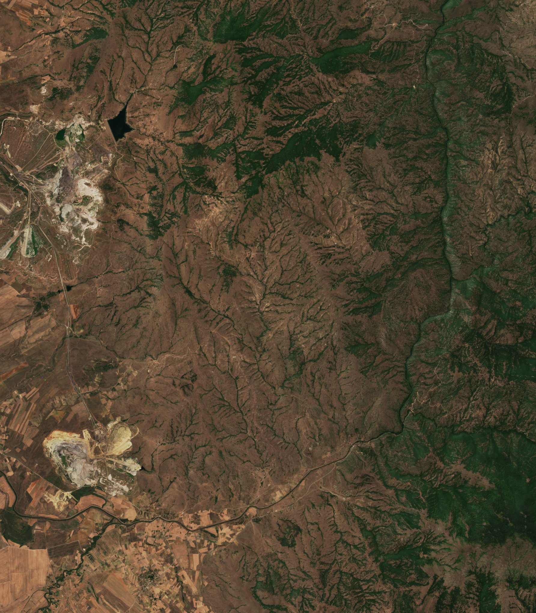 Sentinel-2 images