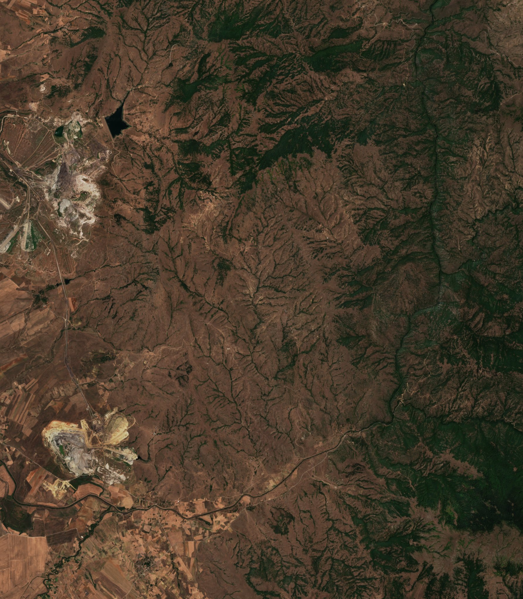 The area before the fire, August 8, 2024