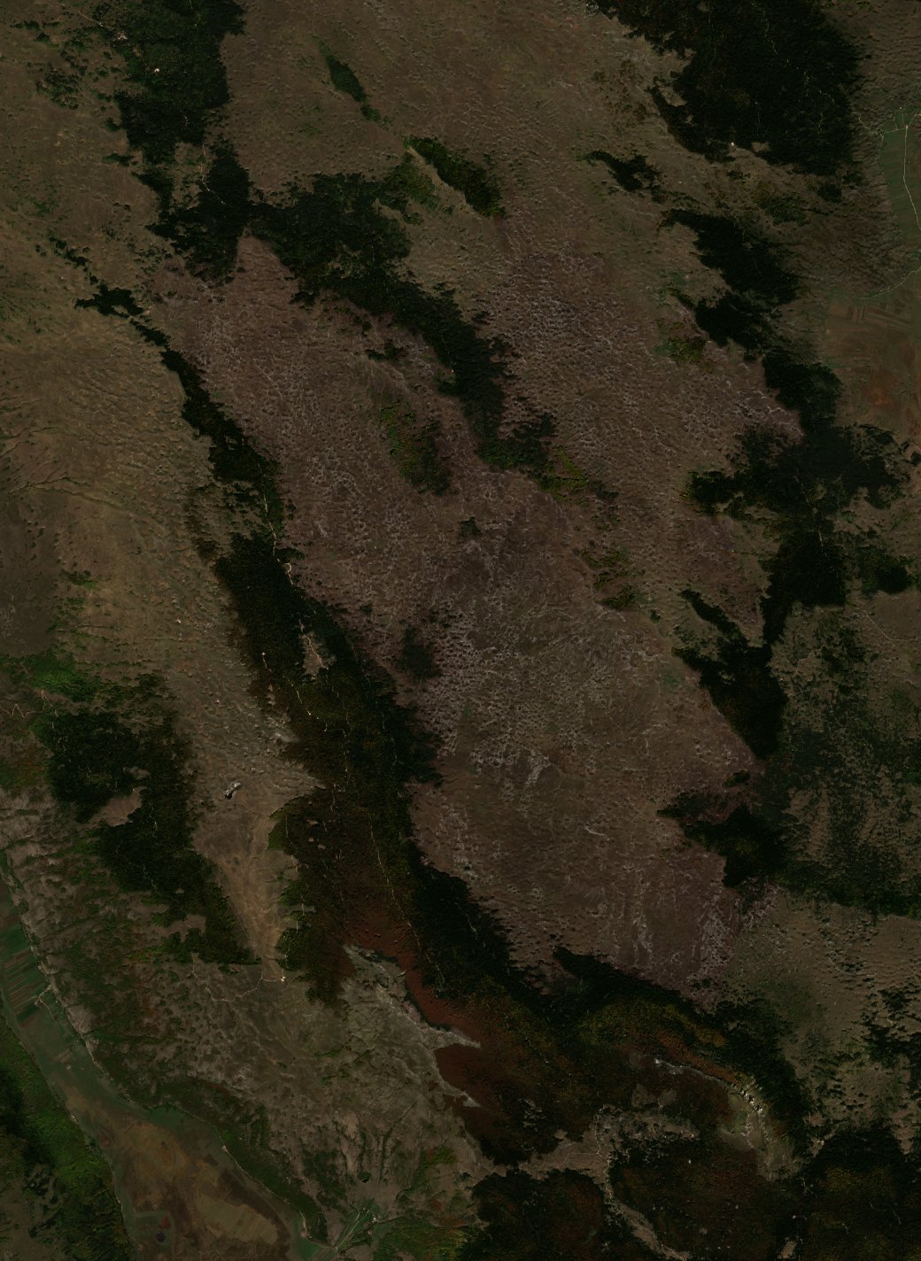 The area after the fire, October 12, 2017