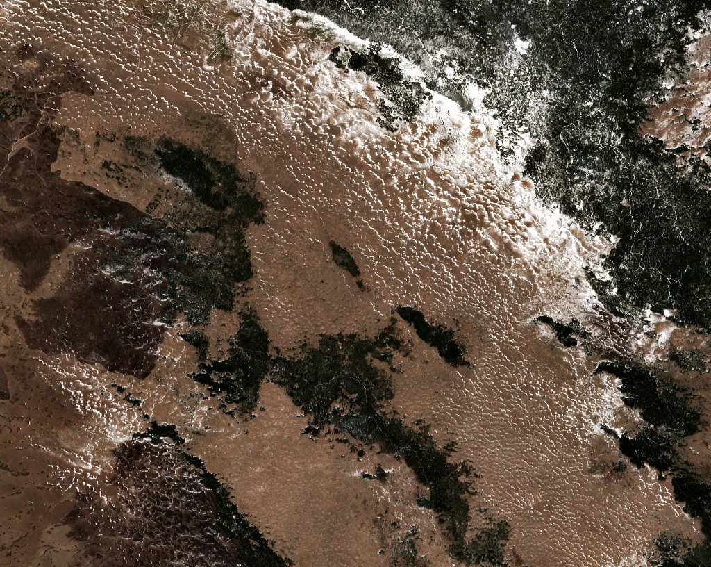 The area before the fire, April 2, 2020