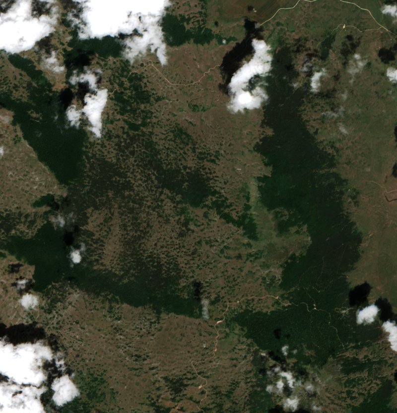 Sentinel-2 images