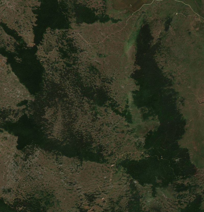 The area before the fire, July 8, 2021