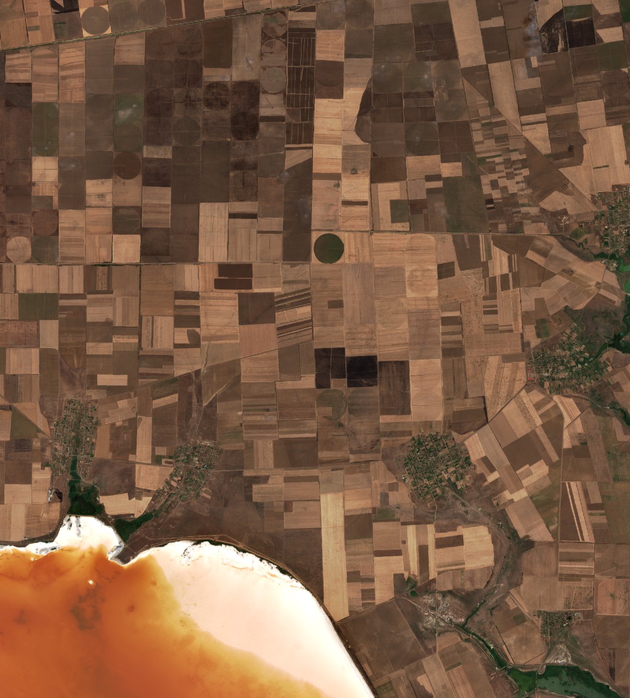 The area before the fire, August 13, 2026