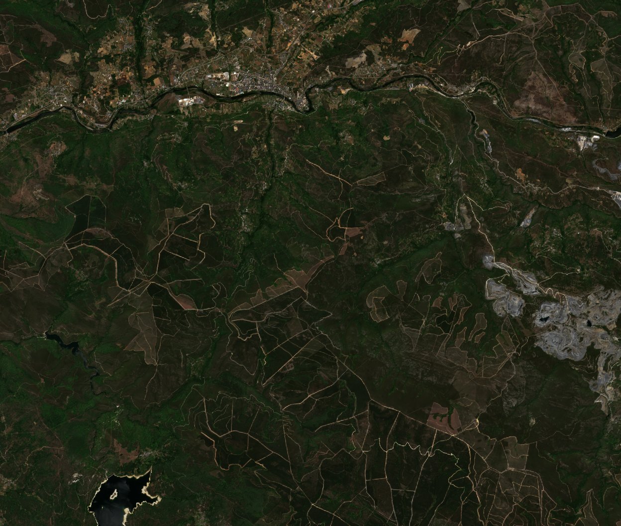 The area before the fire, June 28, 2022