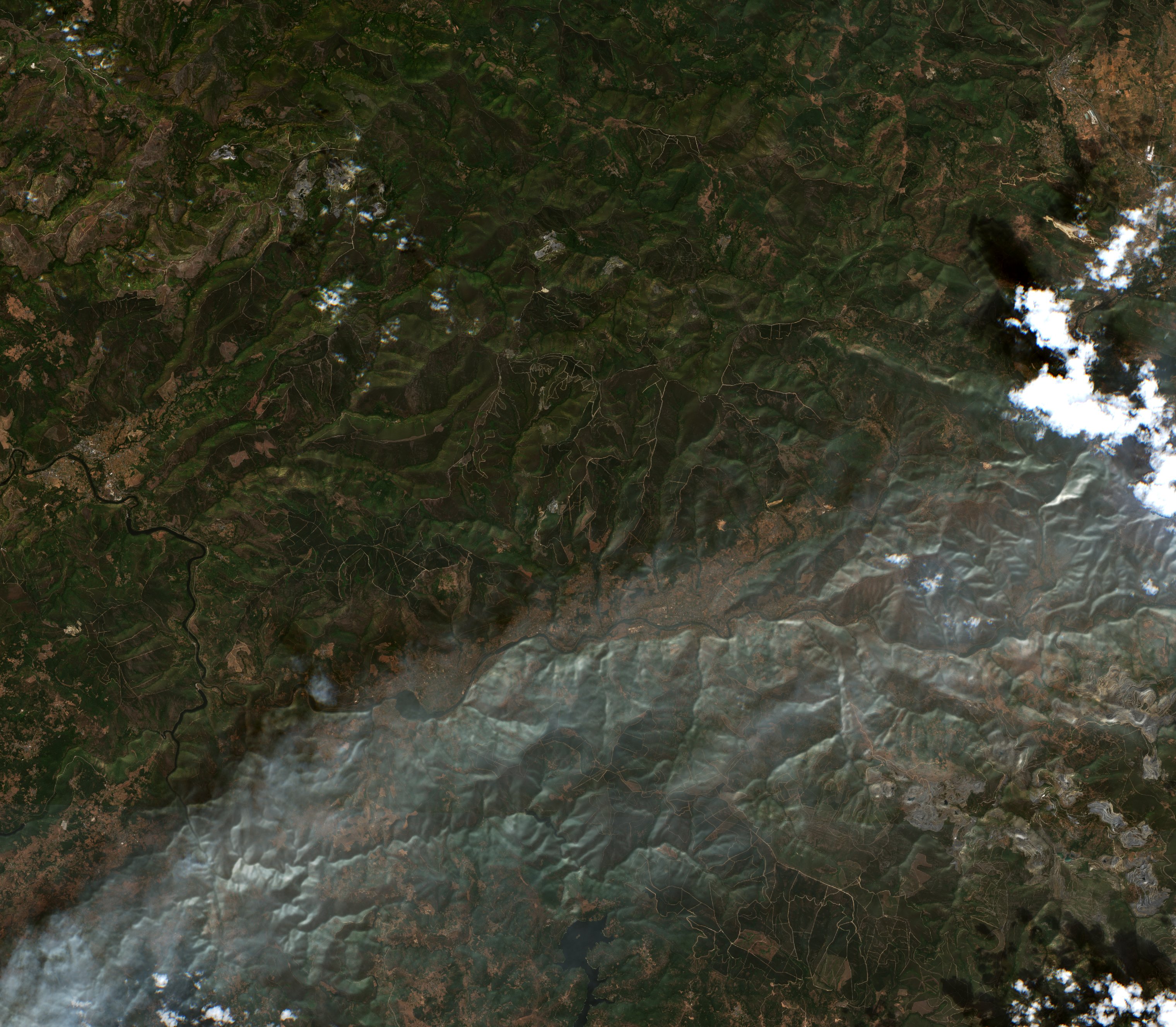 The area before the fire, August 11, 2025