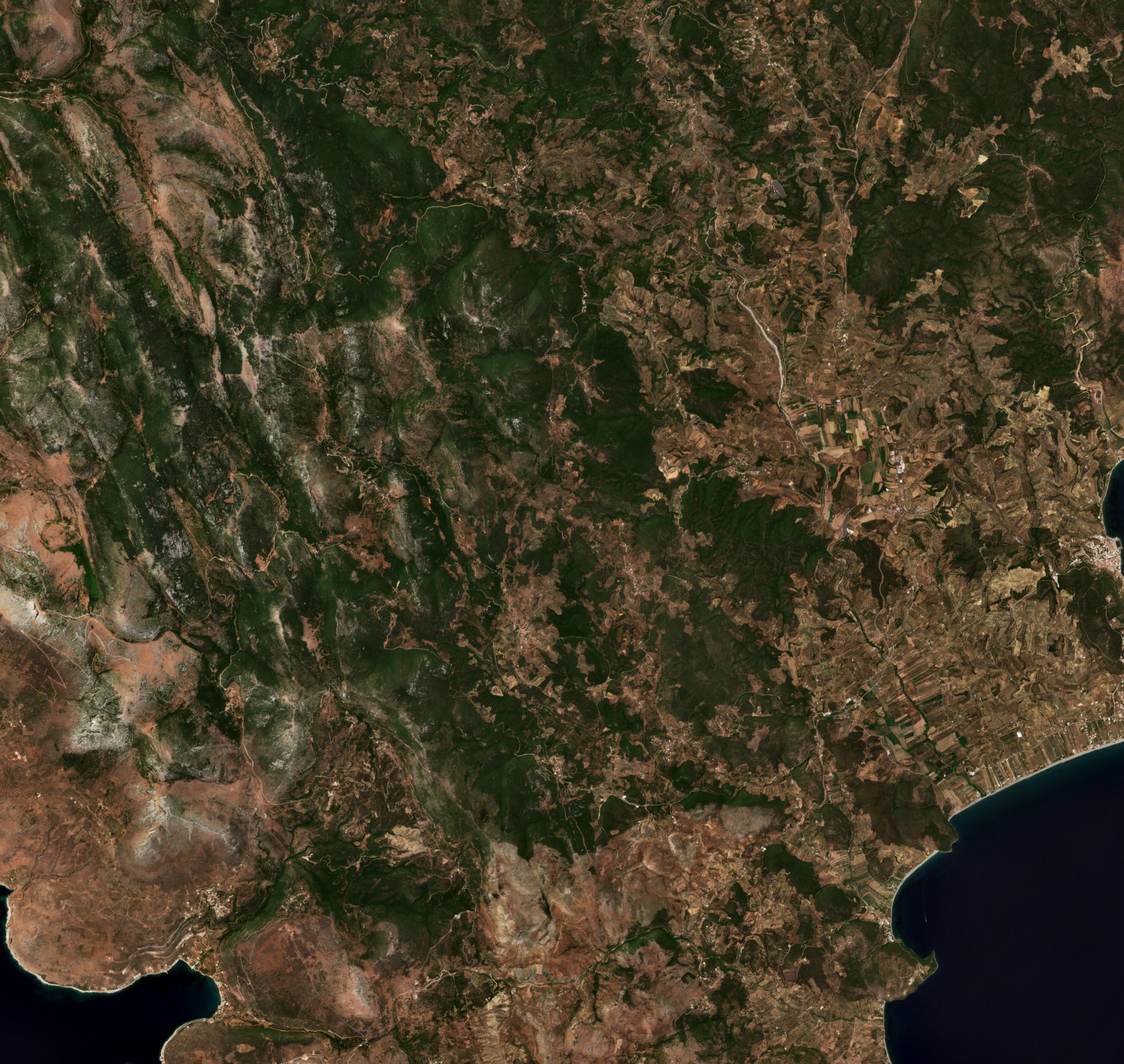 The area before the fire, July 29, 2021
