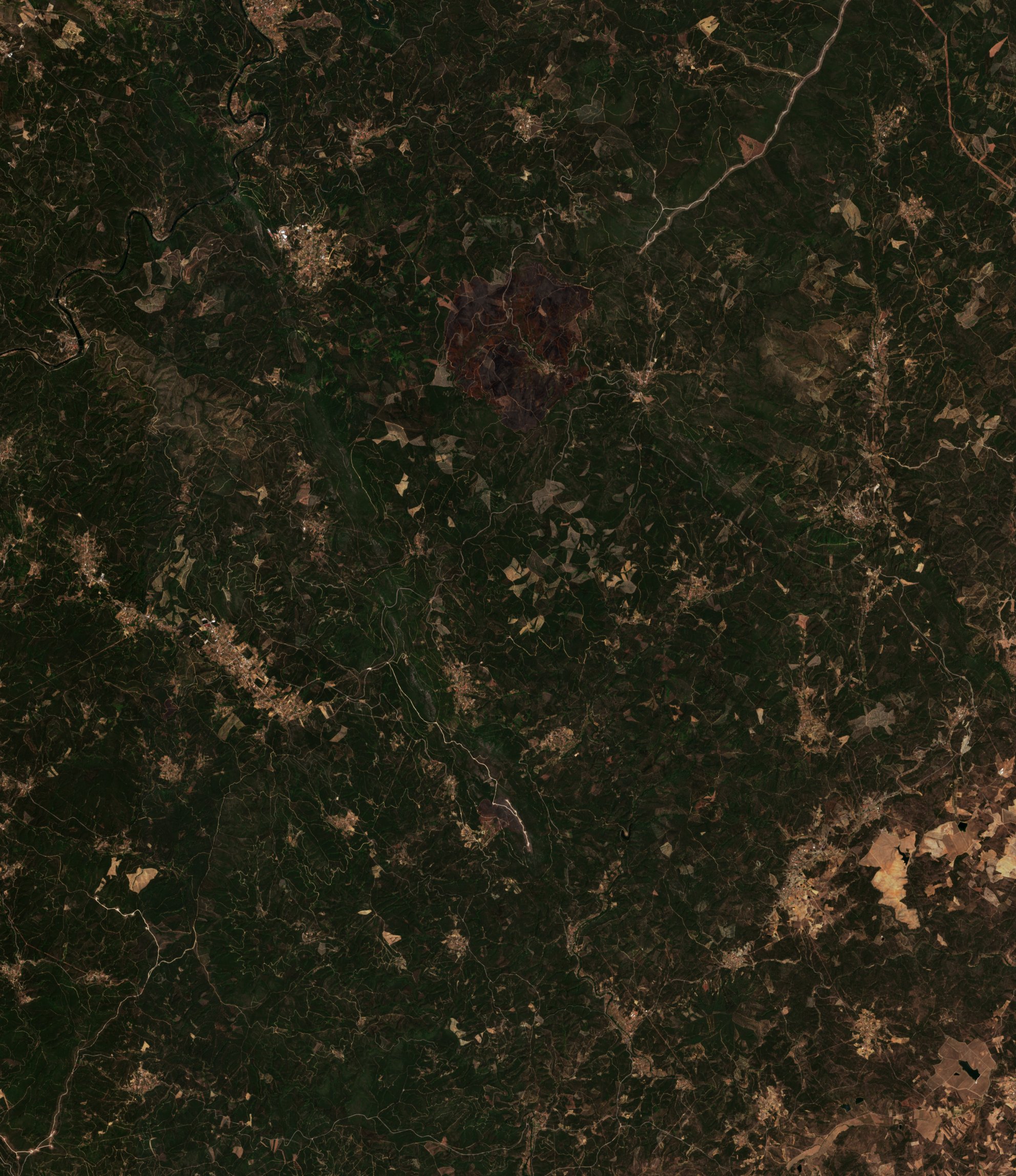 The area before the fire, August 8, 2017