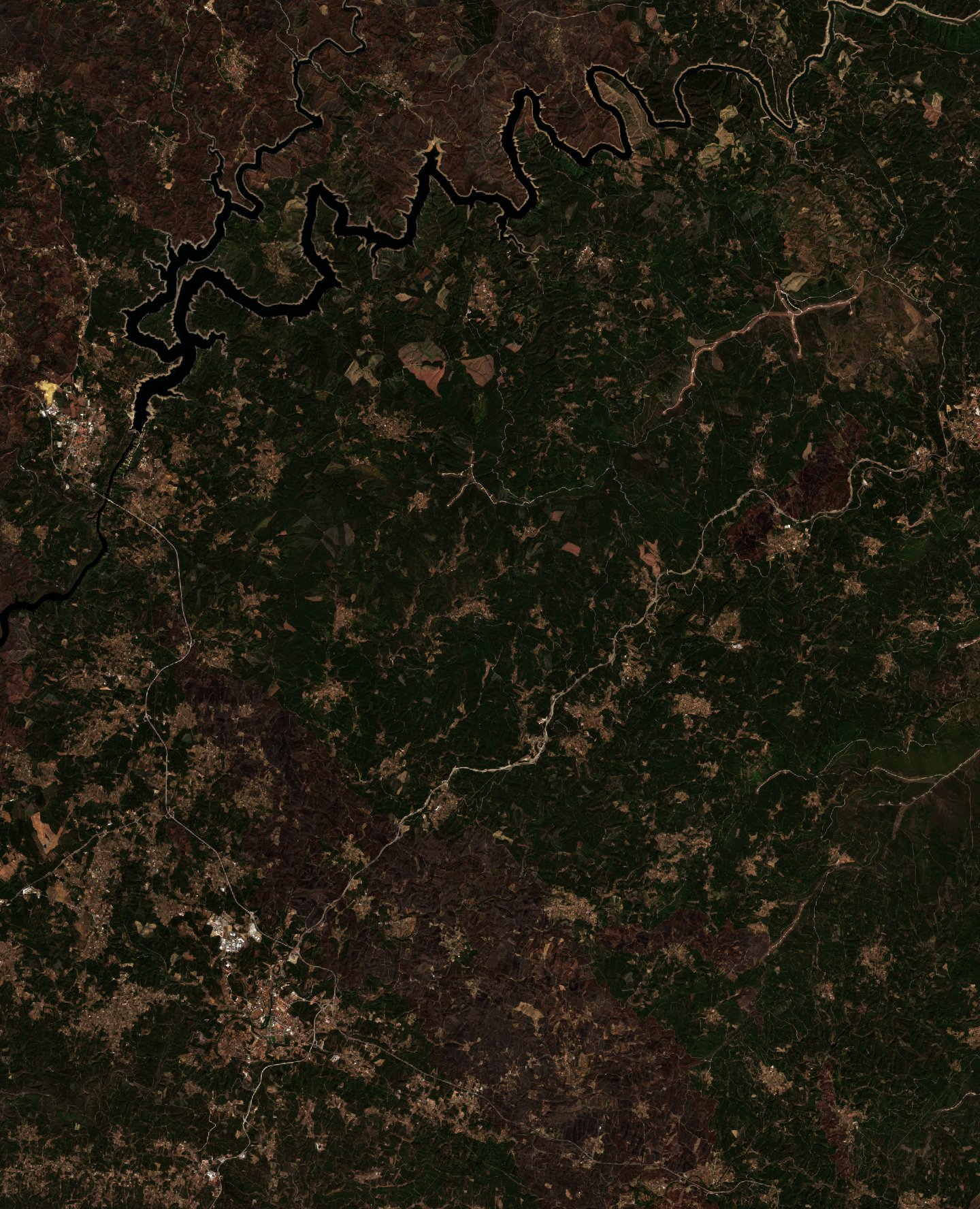 Sentinel-2 images