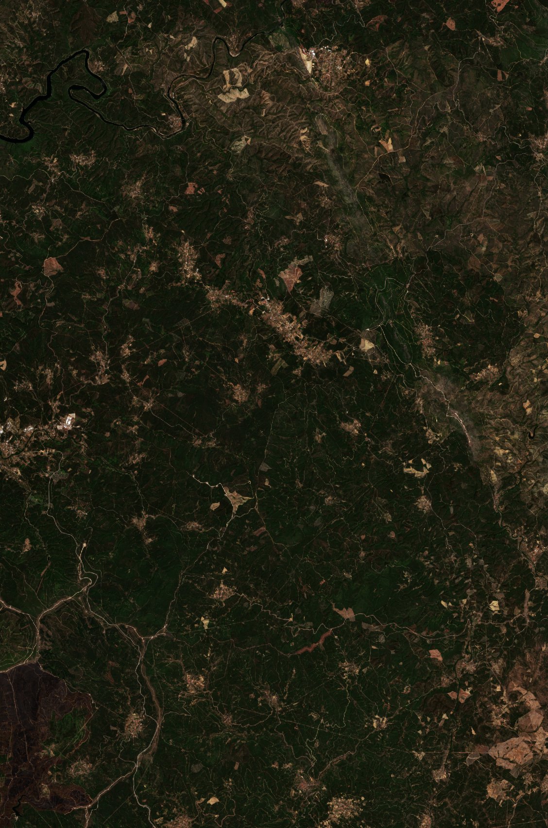 The area before the fire, August 22, 2020