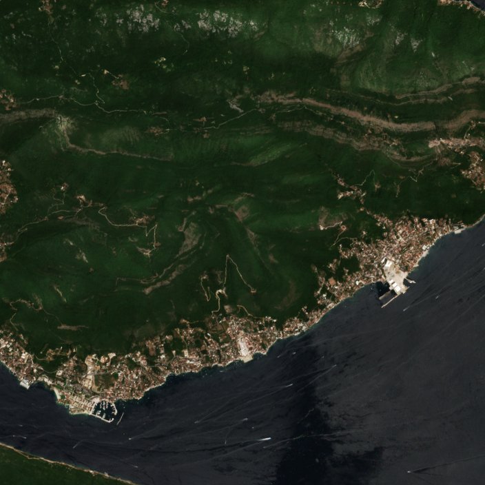 Sentinel-2 images