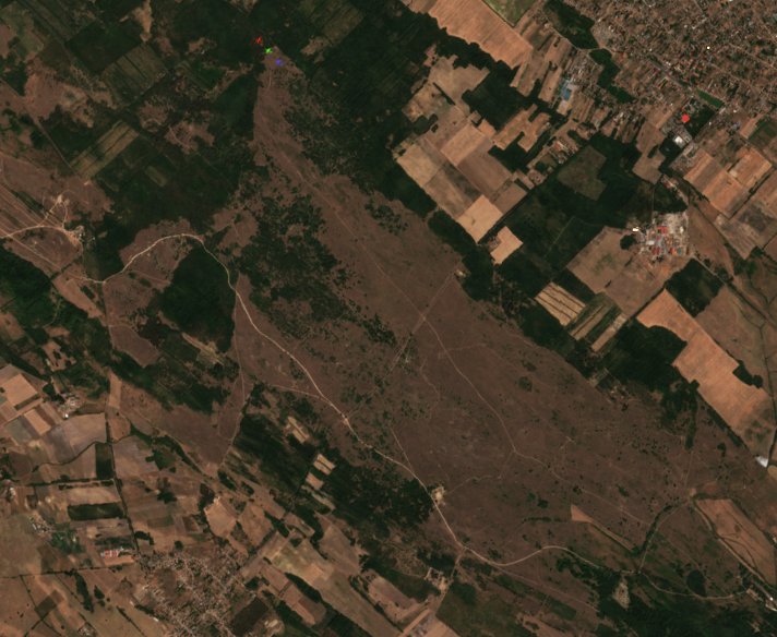 The area before the fire, August 17, 2022