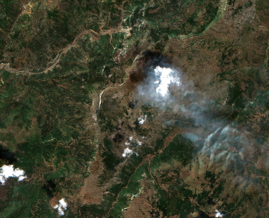 The area before the fire, August 10, 2017