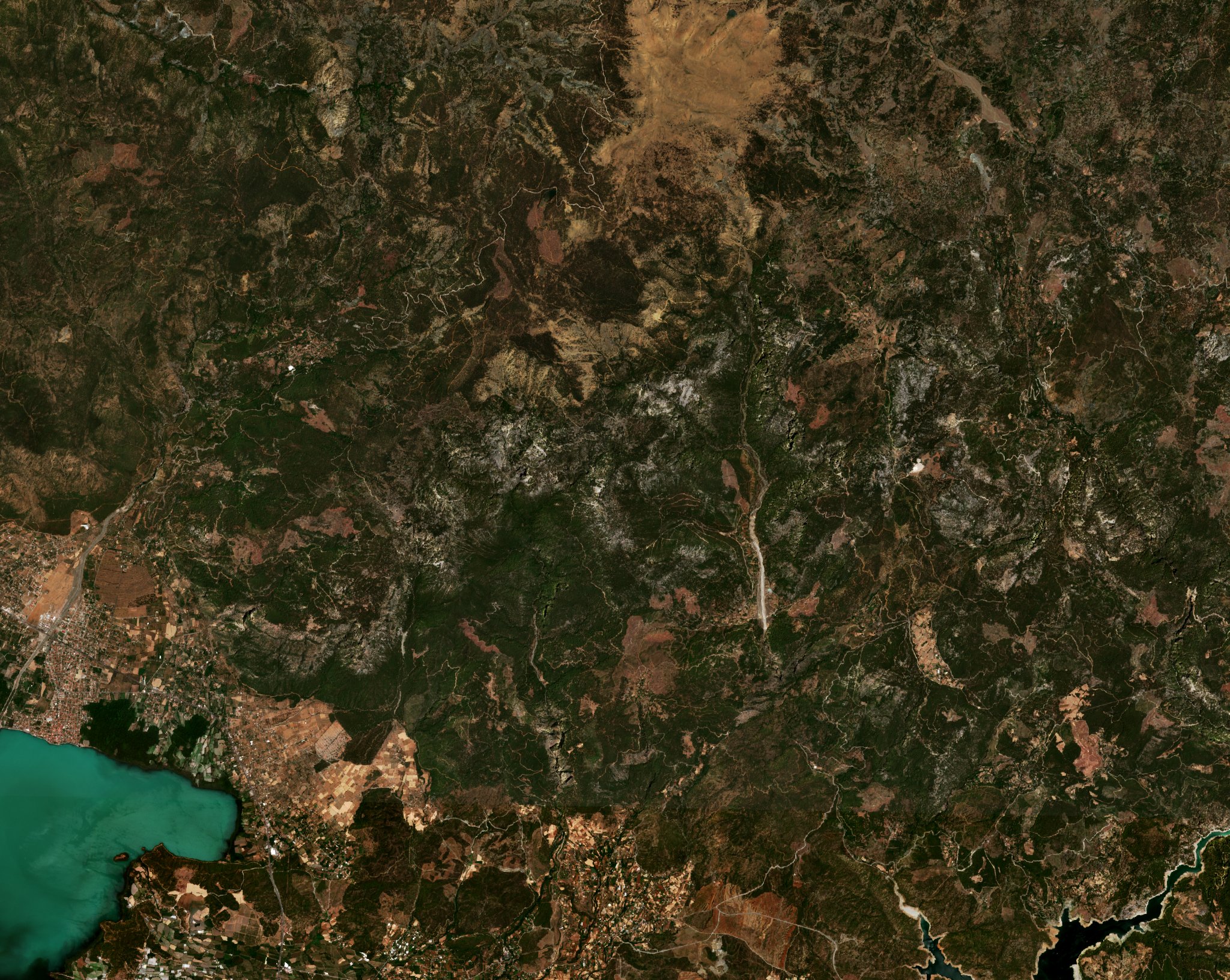 The area before the fire, July 18, 2021