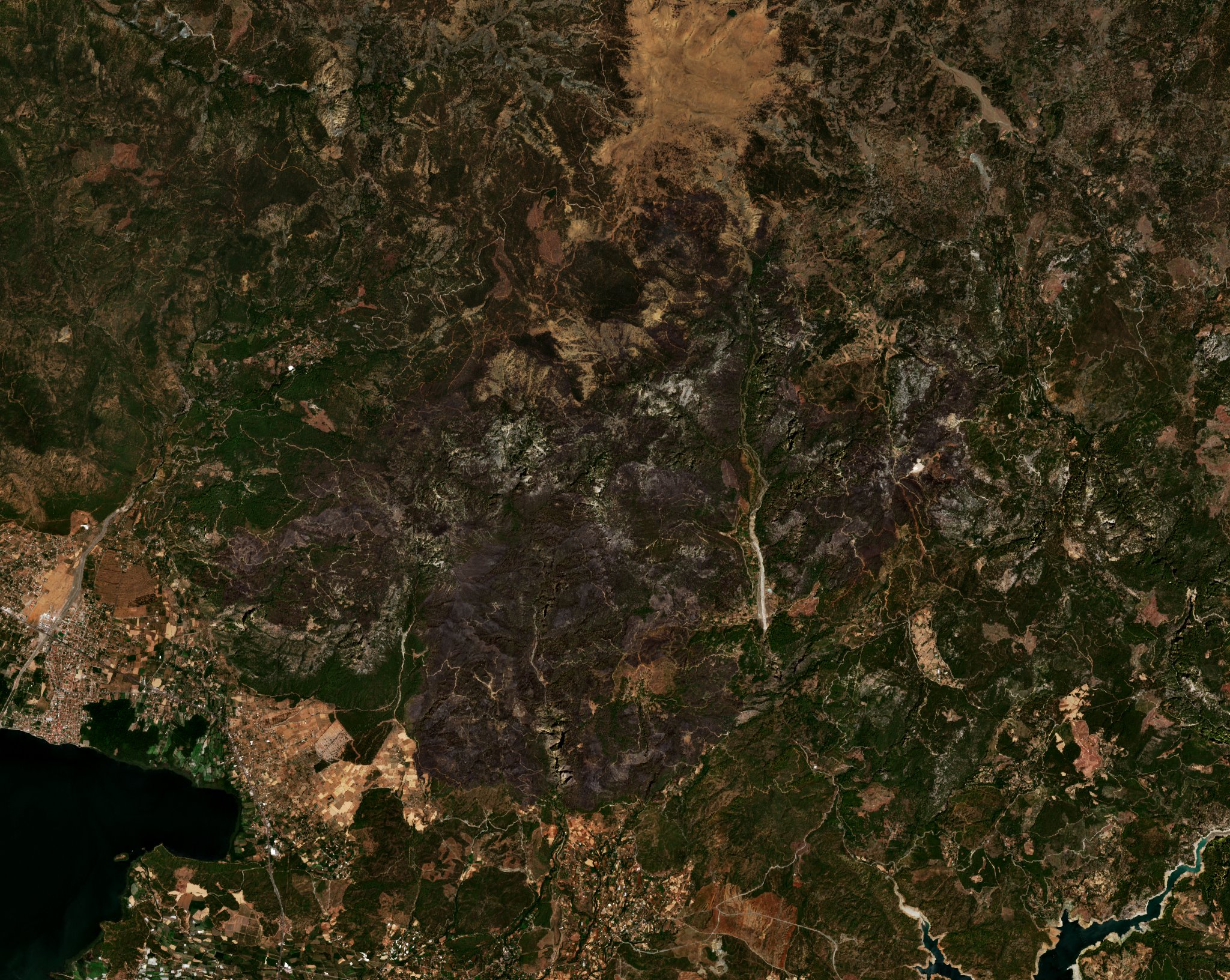 The area after the fire, August 12, 2021