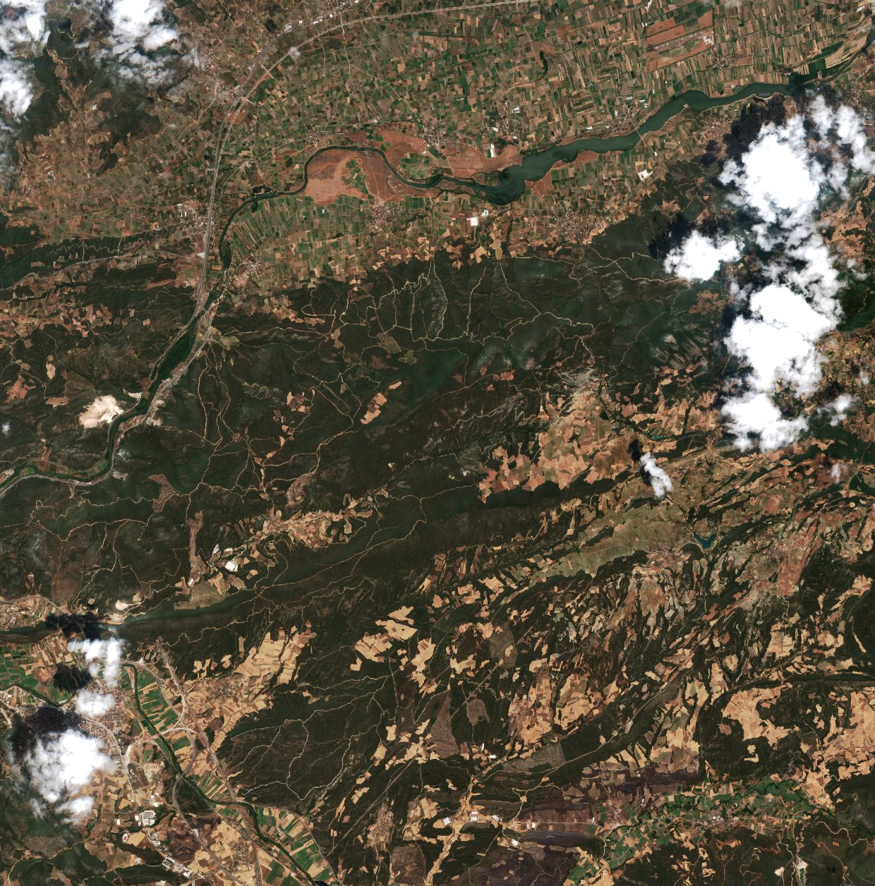 Sentinel-2 images