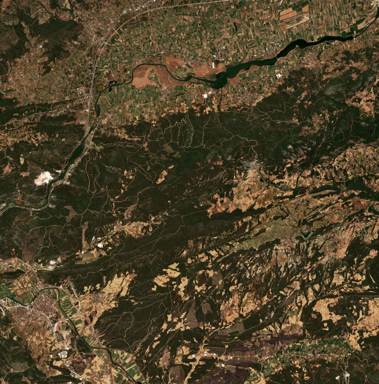 The area before the fire, July 17, 2025