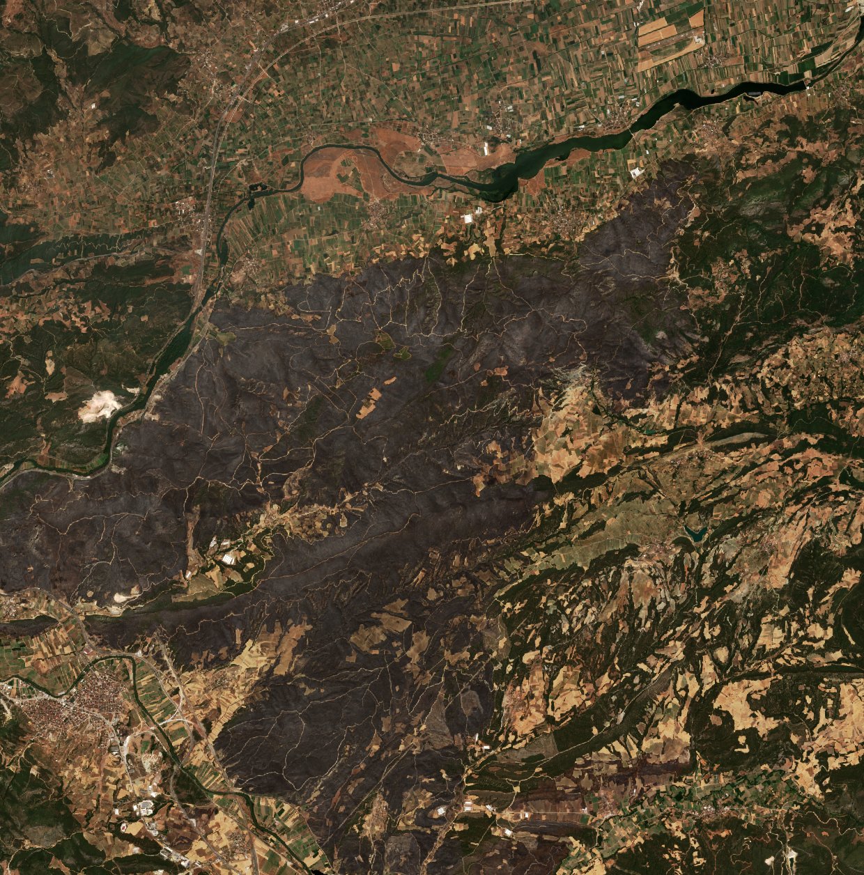 The area after the fire, July 27, 2025