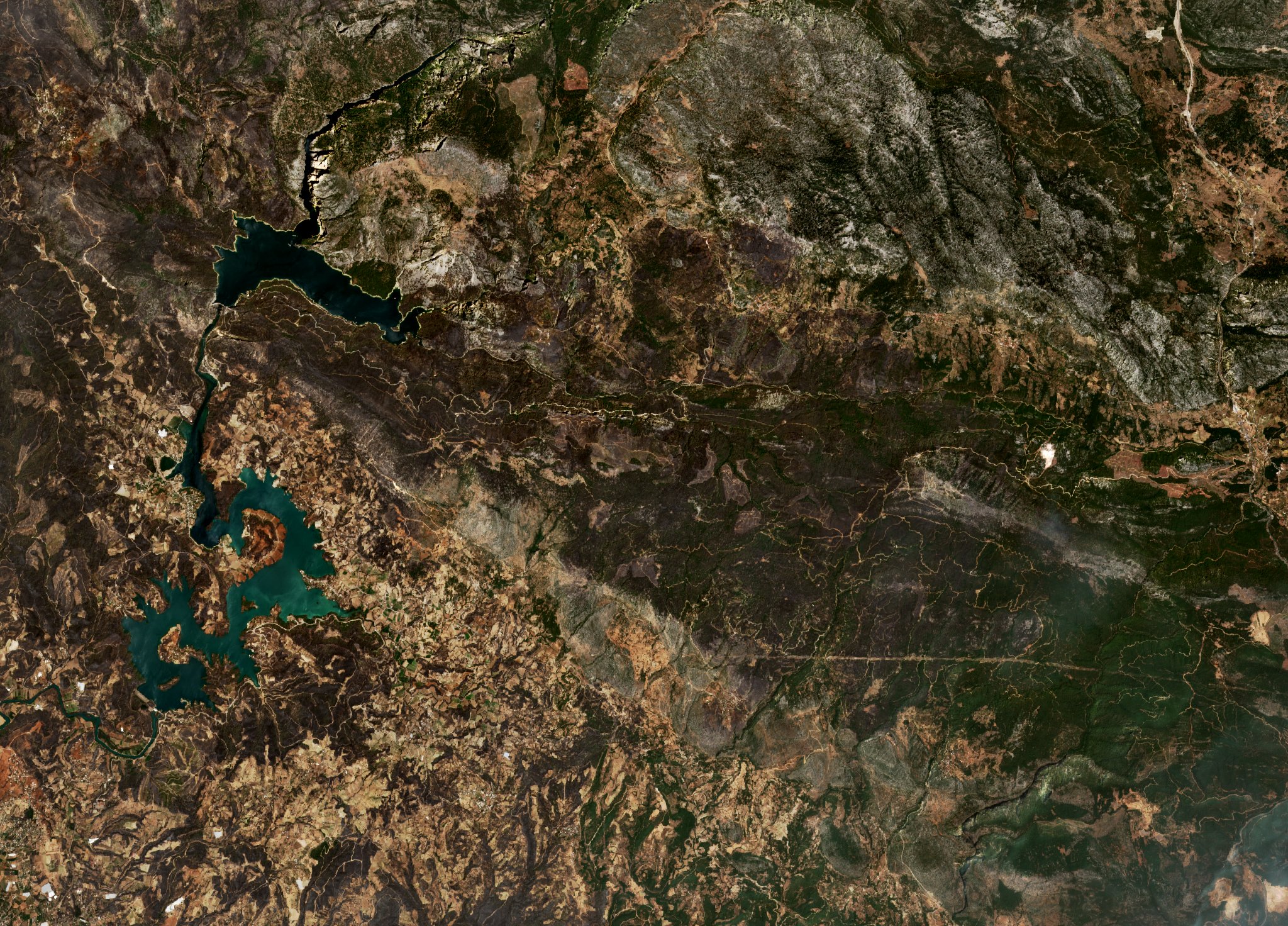 The area after the fire, August 4, 2021