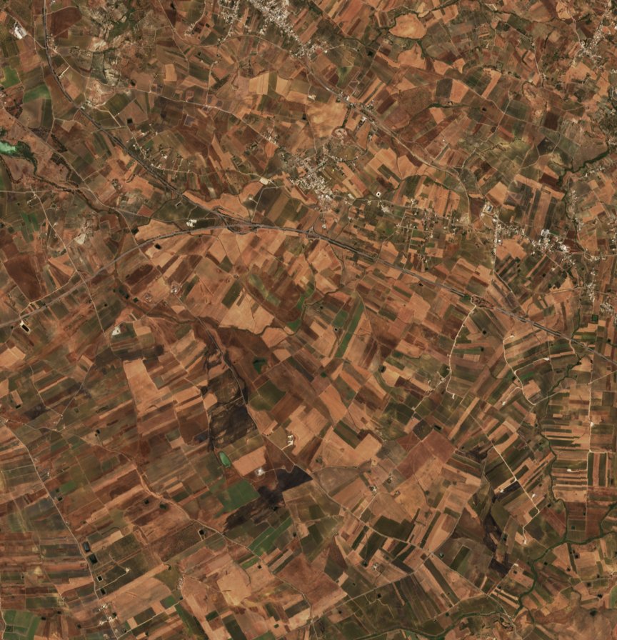 The area before the fire, August 4, 2026