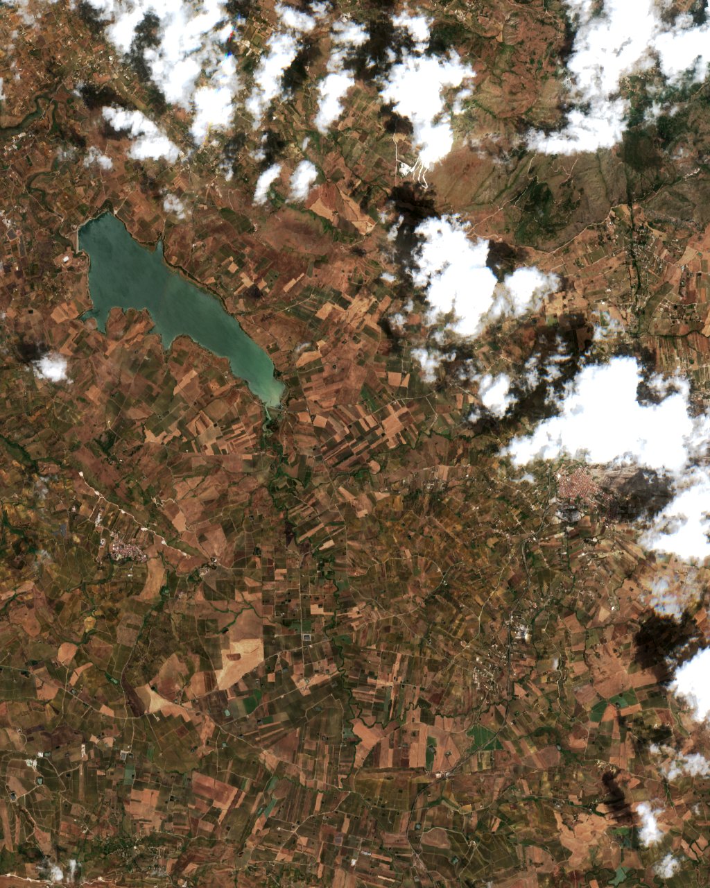 Sentinel-2 images