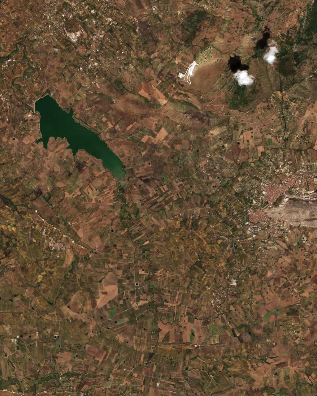 The area before the fire, August 19, 2026