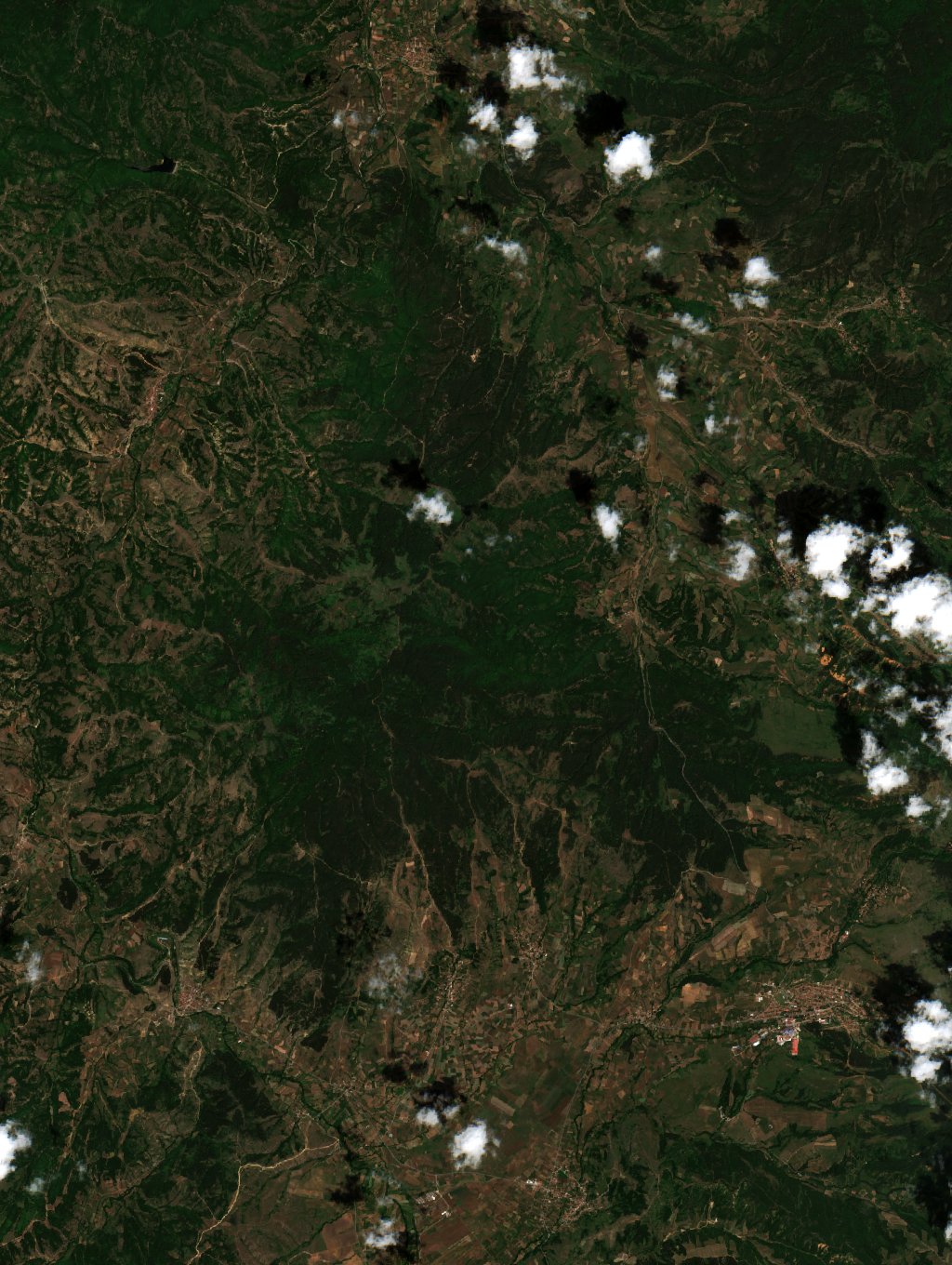 Sentinel-2 images
