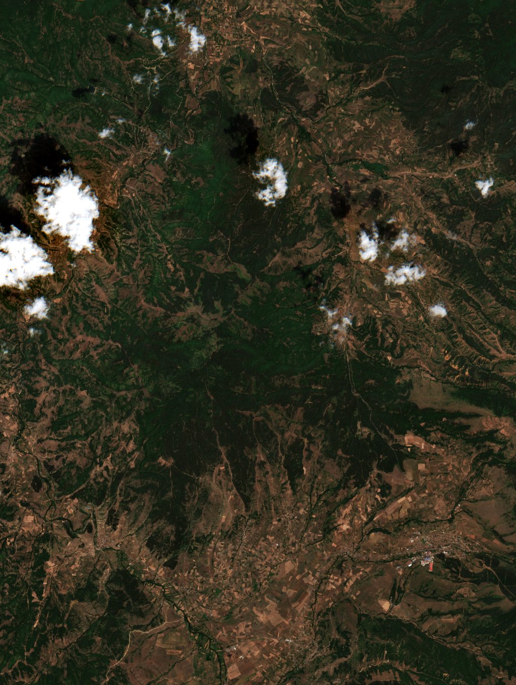 The area before the fire, August 1, 2021