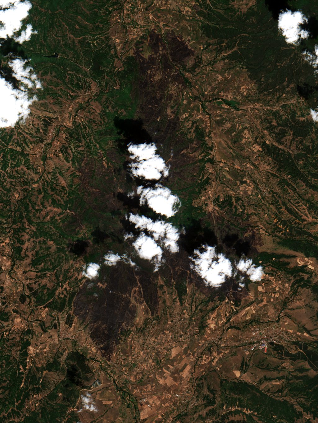 The area after the fire, August 16, 2021
