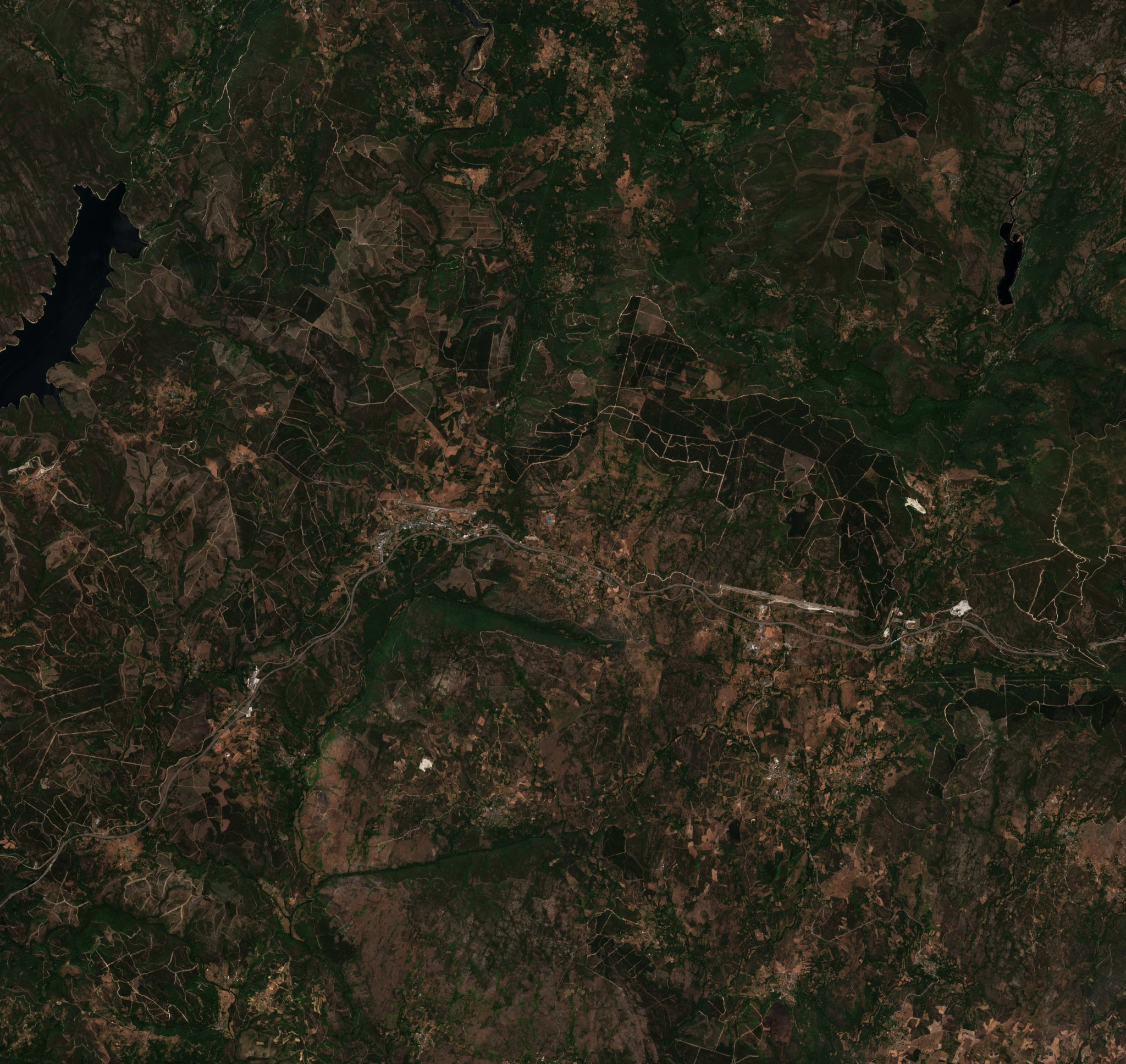 Sentinel-2 images