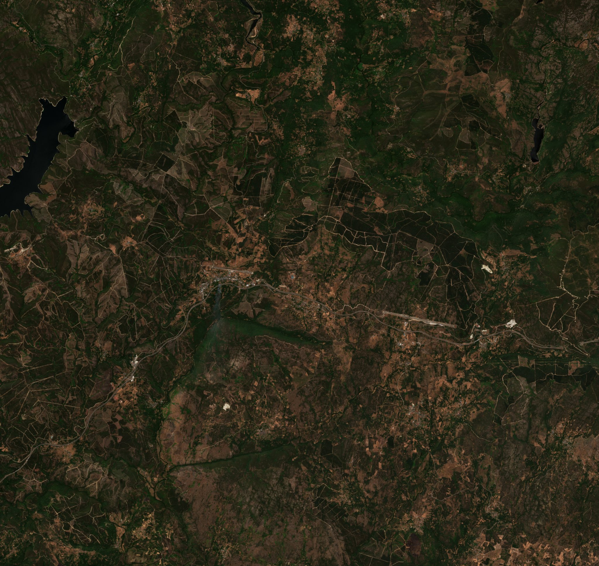 The area before the fire, August 1, 2025