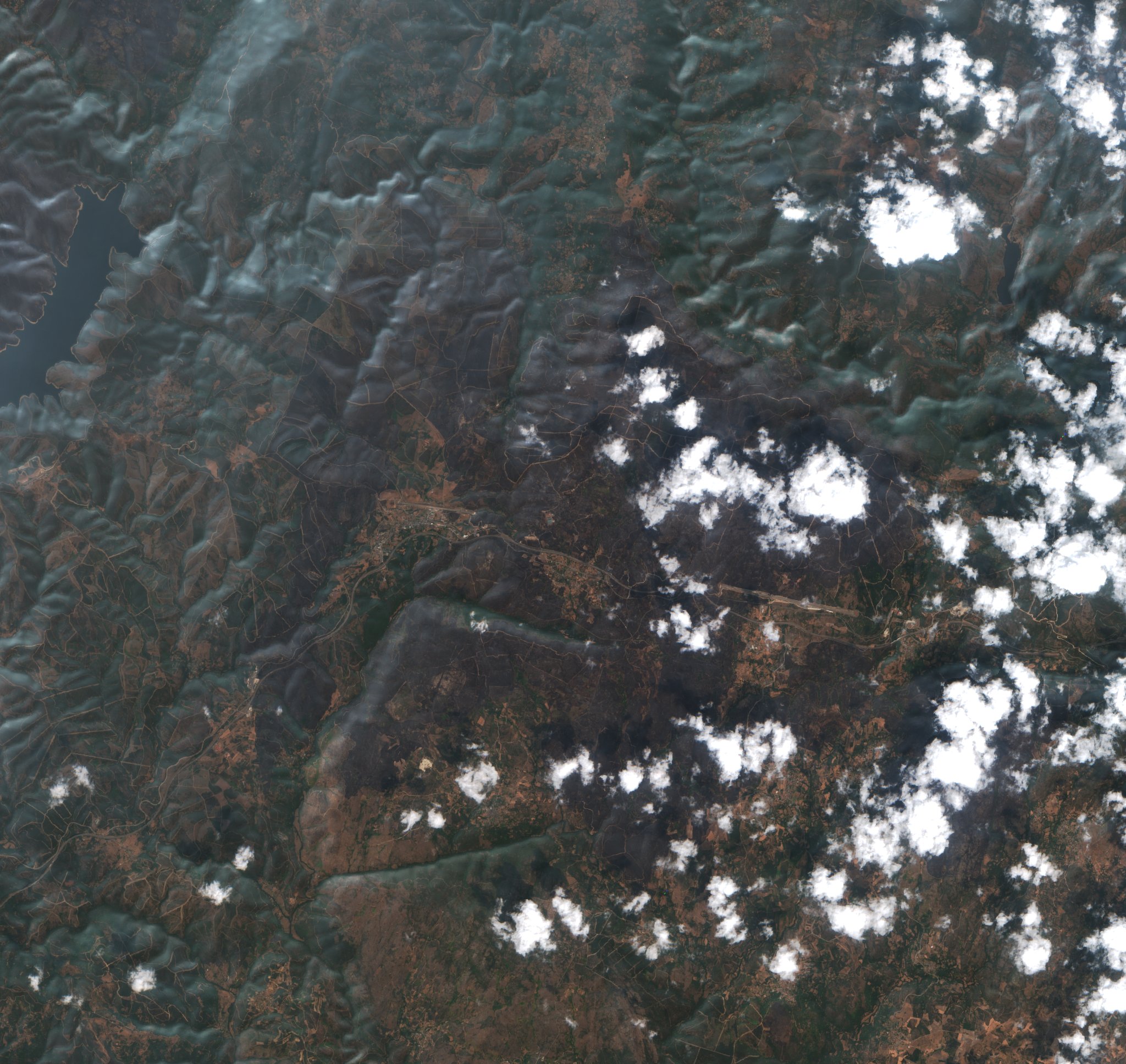 The area after the fire, August 21, 2025