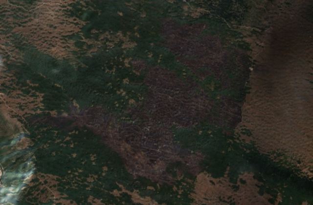 Burned area near Plužine from space