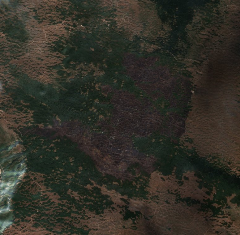 The area after the fire, September 10, 2026