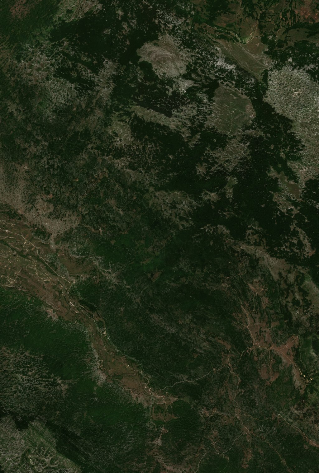 Sentinel-2 images