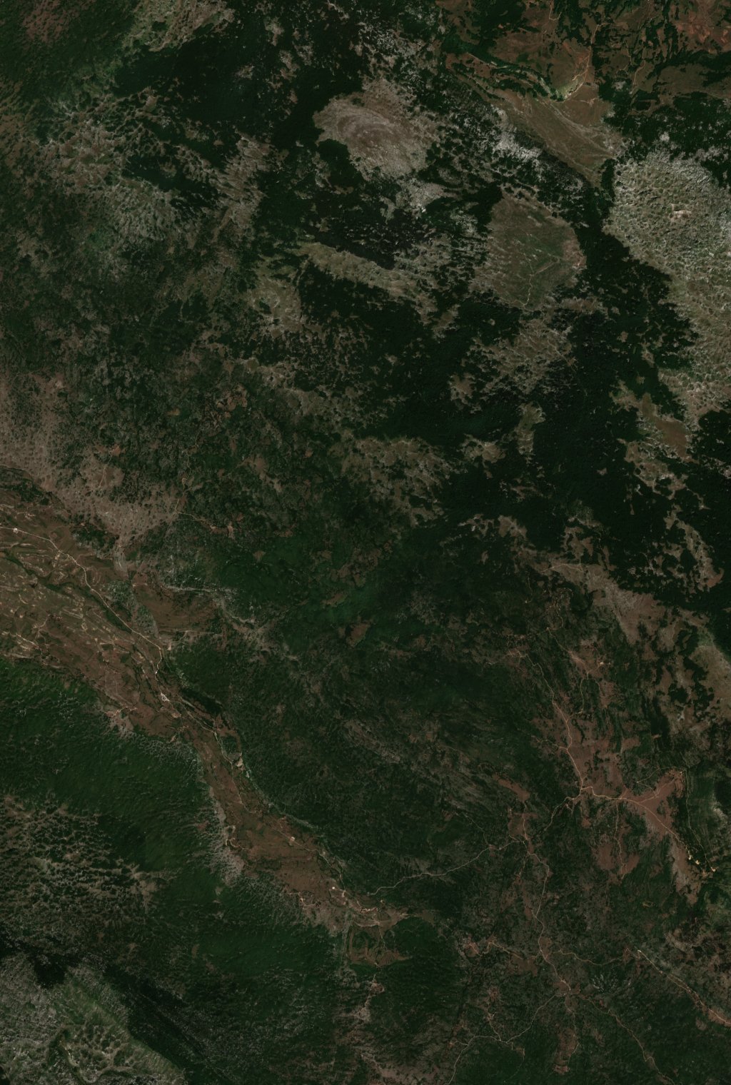 The area before the fire, August 11, 2026